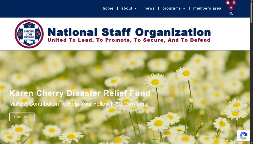 NSO: a website with a job to do
