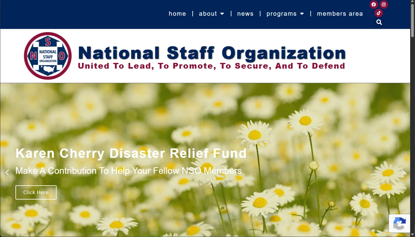 NSO: a website with a job to do